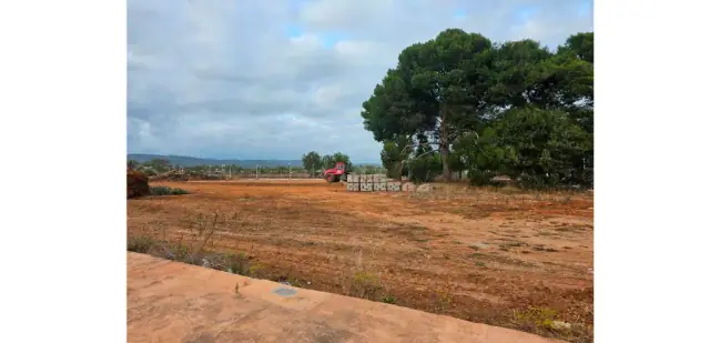 Apartamentos Sol y Mar 1, Oropesa del Mar / Cabanes, Castellón, photo 15 of 18