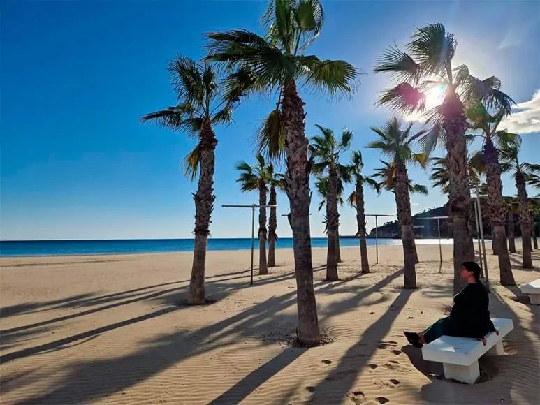 Het strand van La Concha in Oropesa del Mar – Palmbomen en goudkleurig zand