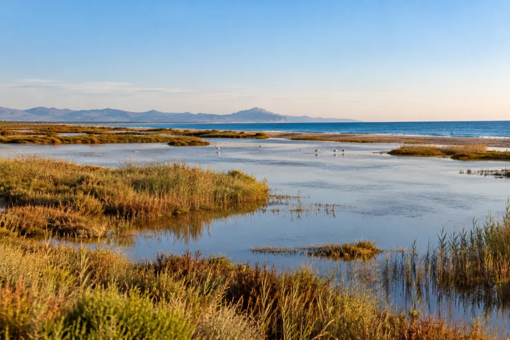 Humedal del parque natural del Prat de Cabanes-Torreblanca, detrás de las playas de Cudolà y Quartell Vell